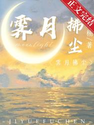 霁月拂尘